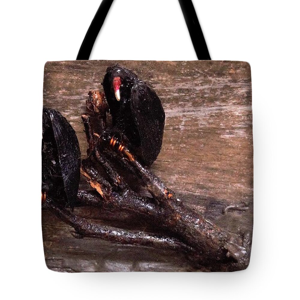 3d Tote Bag featuring the mixed media 2 Hulking Vultures by Roger Swezey