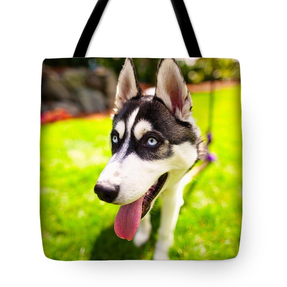 Husky Tote Bag featuring the photograph Husky #2 by Jackie Russo