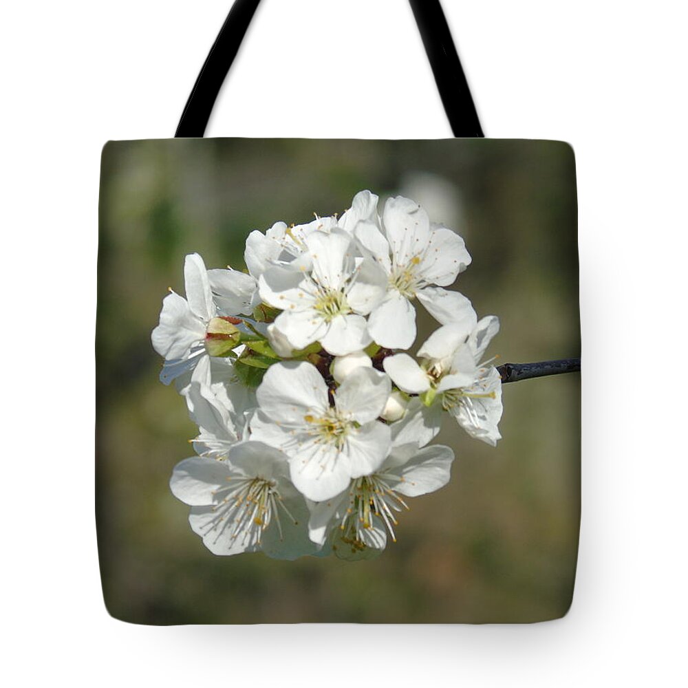 Spring Tote Bag featuring the photograph Macro photography #2 by Yohana Negusse