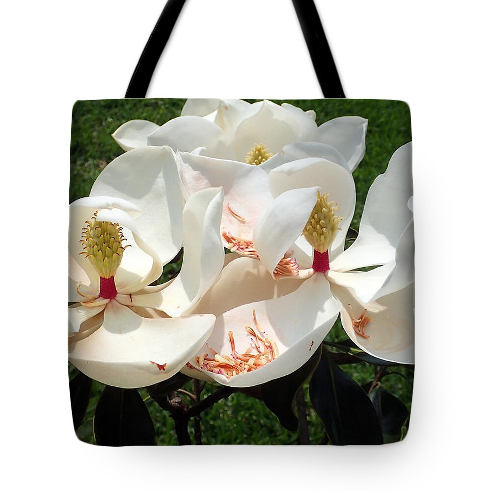 Magnolia Tote Bag featuring the photograph Magnolia Blossom #1 by Farol Tomson