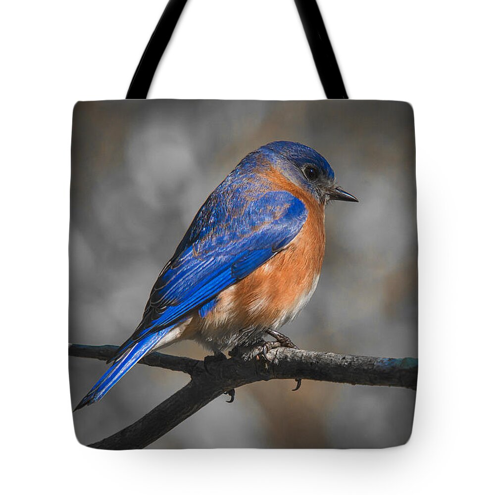 Bluebird Tote Bag featuring the photograph Male Eastern Bluebird by Robert L Jackson