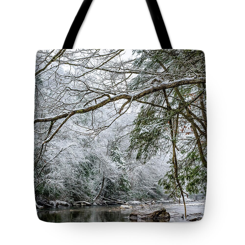 Cranberry River Tote Bag featuring the photograph March Snow along Cranberry River #2 by Thomas R Fletcher