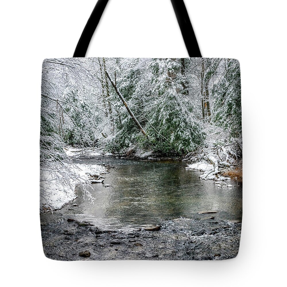 Cranberry River Tote Bag featuring the photograph March Snow Cranberry River #2 by Thomas R Fletcher