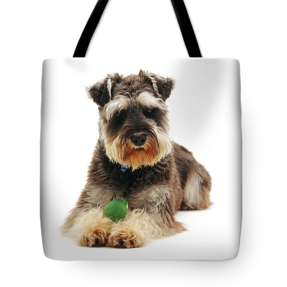 Dog Tote Bag featuring the photograph Miniature Schnauzer #2 by Jane Burton