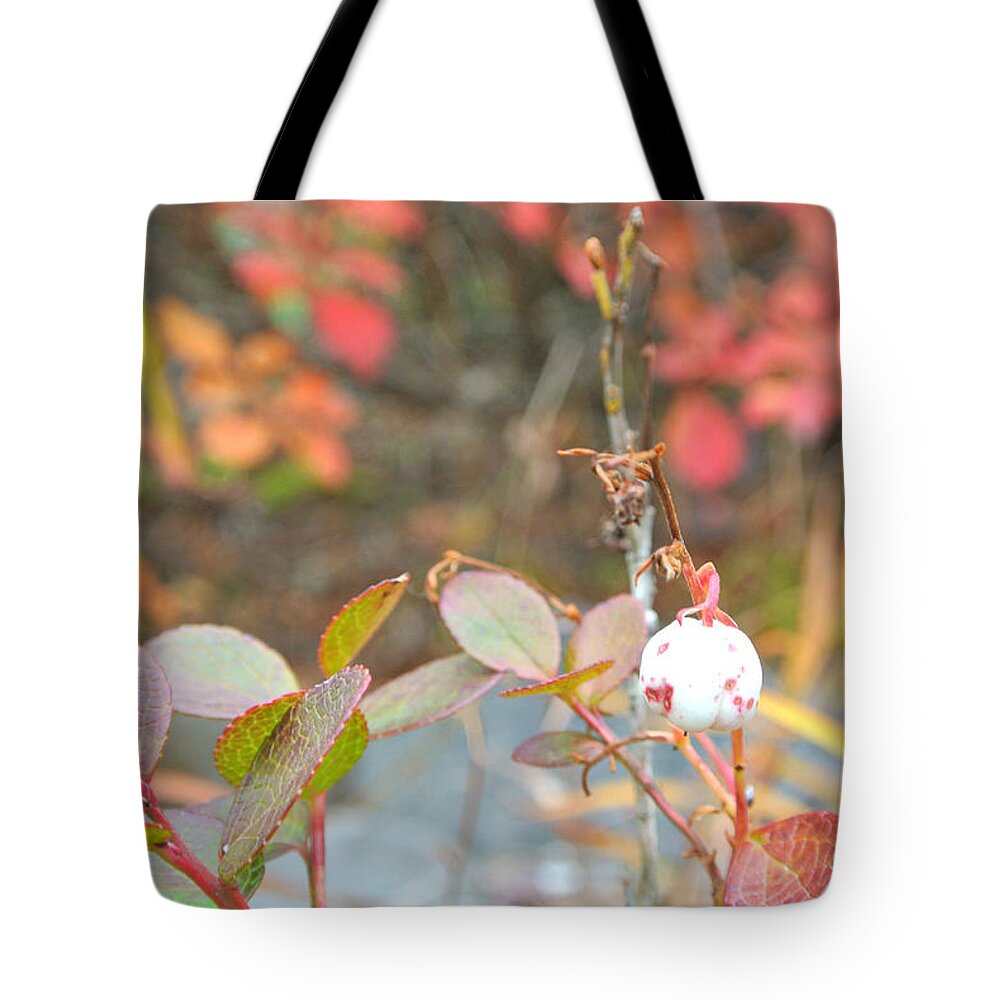 Mysterious Tote Bag featuring the photograph Mysterious Plants - Winter Telling #2 by Hon-yax Multiply LLC