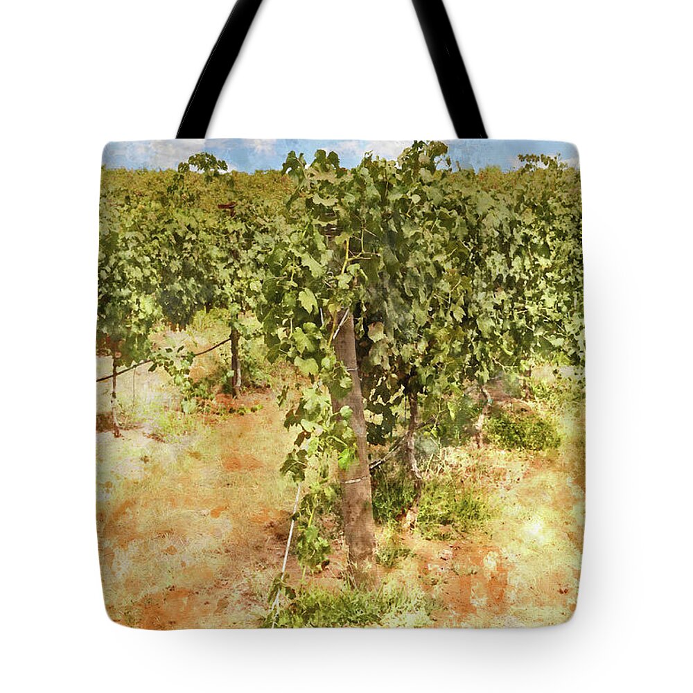  Sky Tote Bag featuring the photograph Napa Vineyard in the Spring #2 by Brandon Bourdages