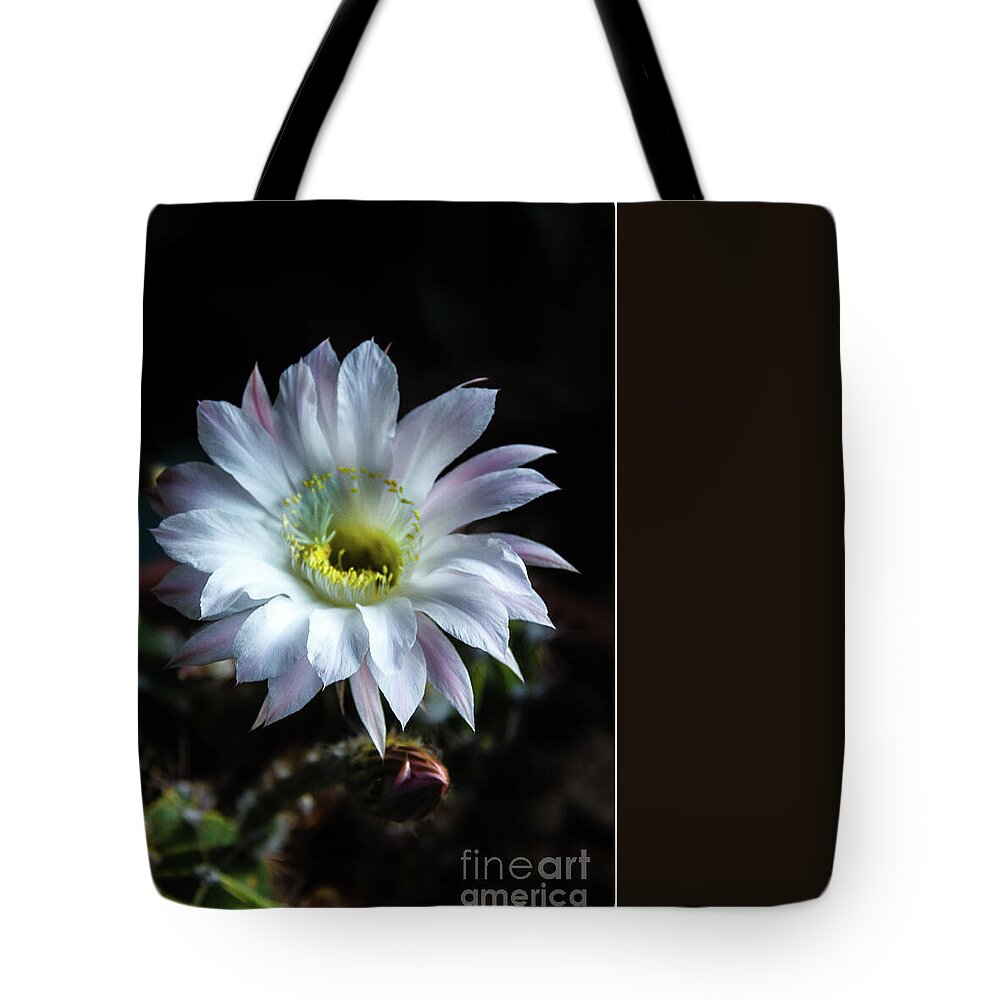 Arizona Tote Bag featuring the photograph Night Bloomer #2 by Robert Bales