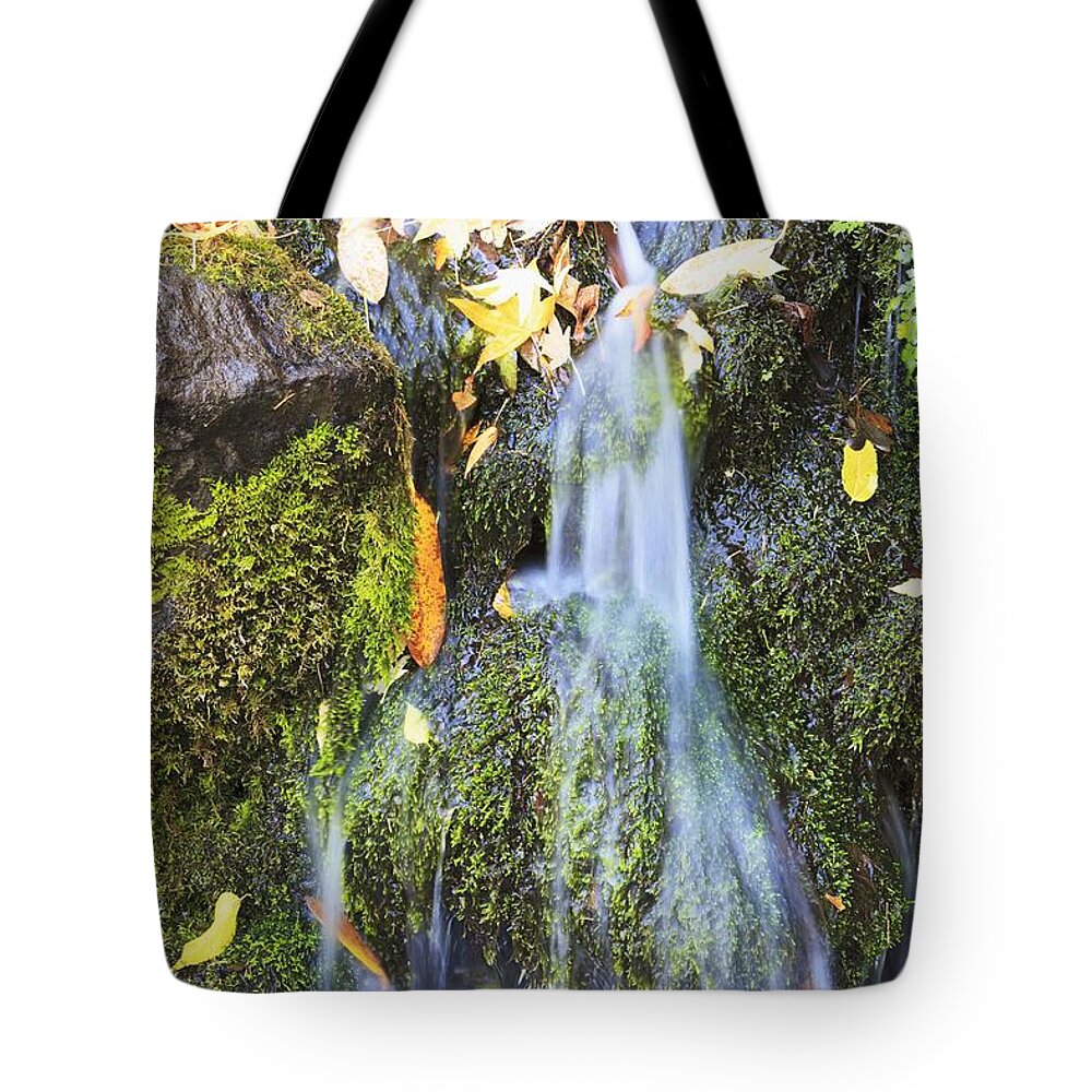 Nature Tote Bag featuring the photograph Oregon Cascades, Oregon, Usa #2 by Craig Tuttle