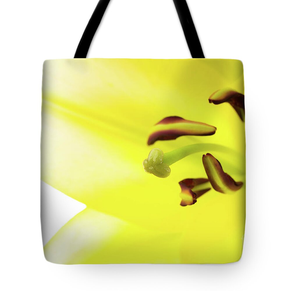 Abstract Tote Bag featuring the photograph Oriental Lily Flower by Raul Rodriguez
