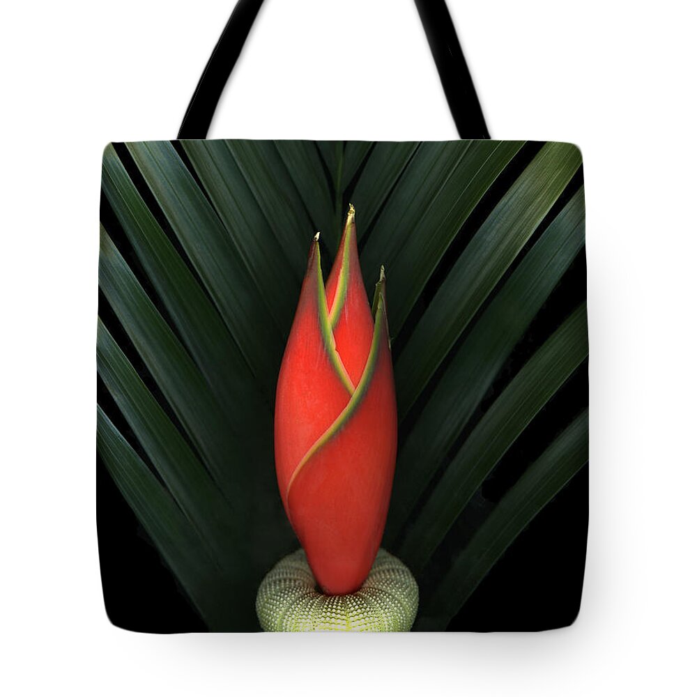 Scanart Tote Bag featuring the photograph Palm of Fire by Christian Slanec