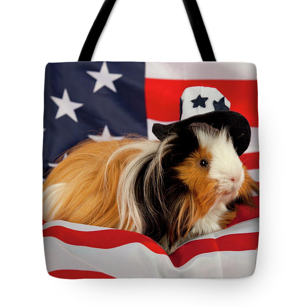 Rodent Tote Bag featuring the photograph Patiriotic Abyssinian Guinea Pig #2 by Anthony Totah
