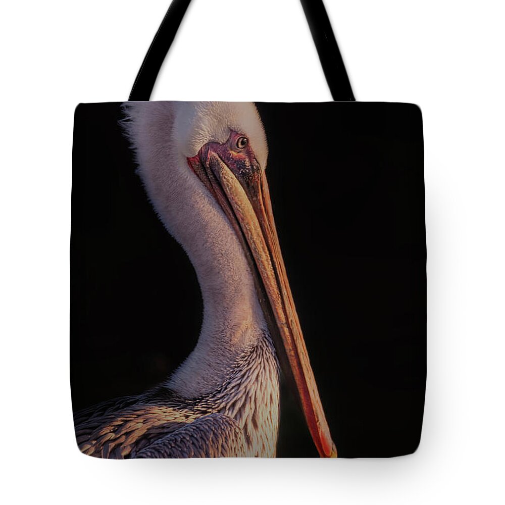 Animal Tote Bag featuring the photograph Pelican #2 by Brian Cross