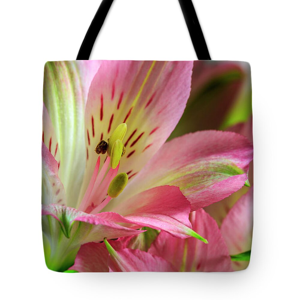 Peruvian Lilies Tote Bag featuring the photograph Peruvian Lilies In Bloom #3 by Richard J Thompson