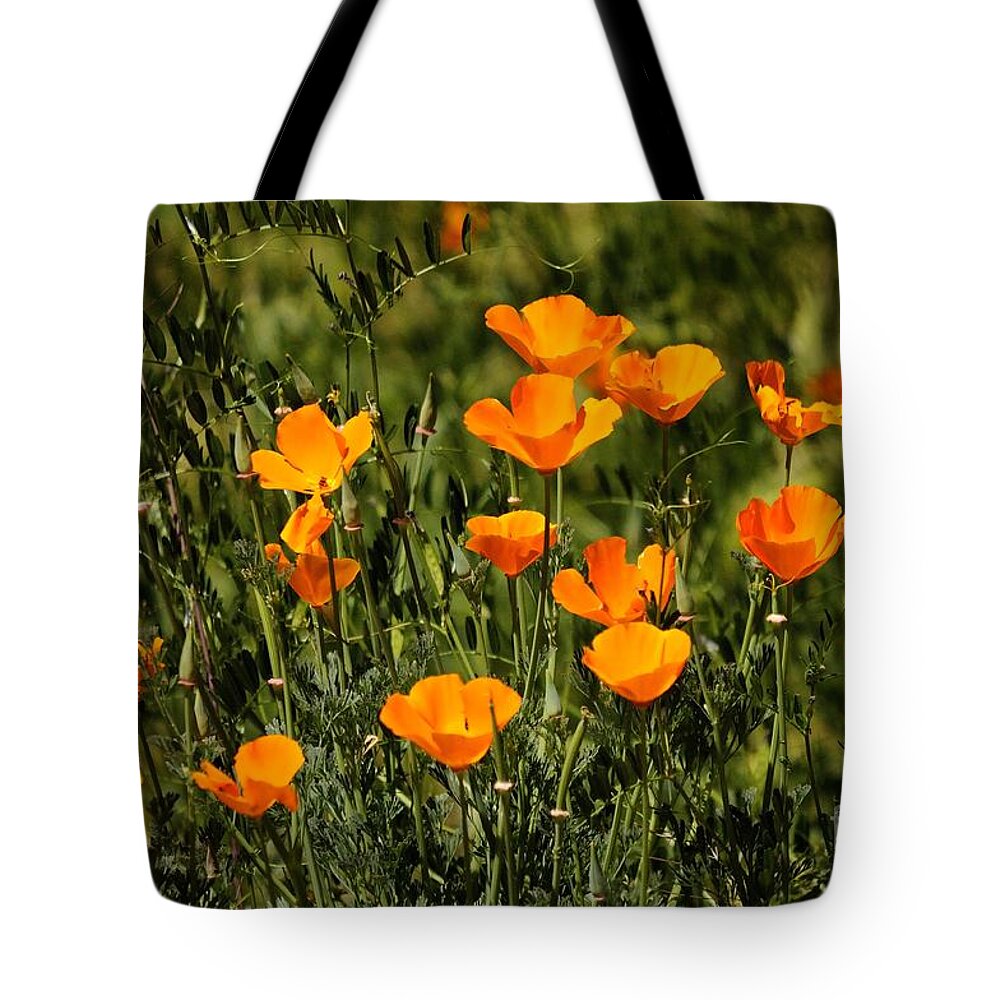 Poppies Tote Bag featuring the photograph Poppies #2 by Marc Bittan