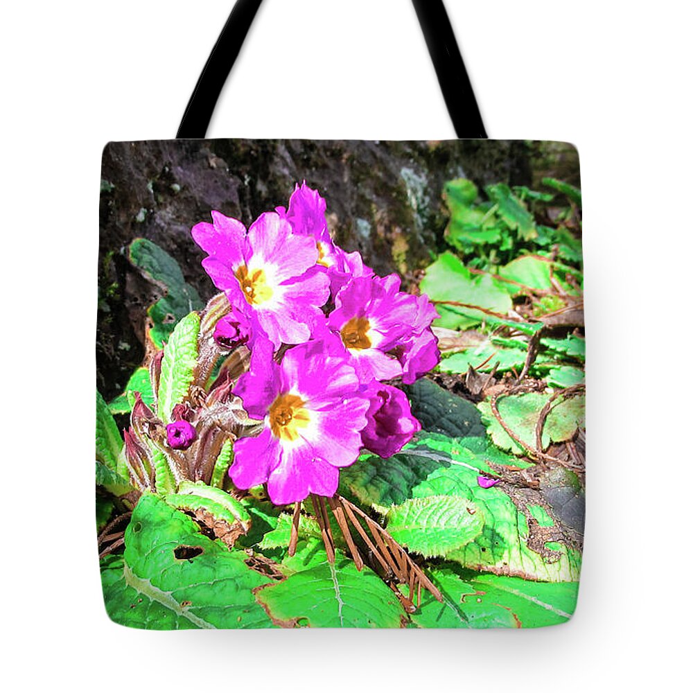Bird Tote Bag featuring the photograph Purple Flower #2 by Cesar Vieira