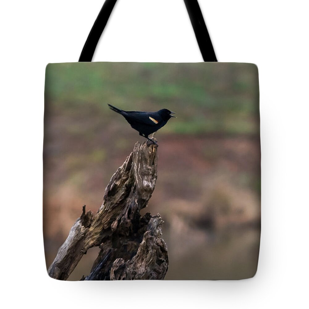 Jan Tote Bag featuring the photograph Red-Winged Blackbird by Holden The Moment