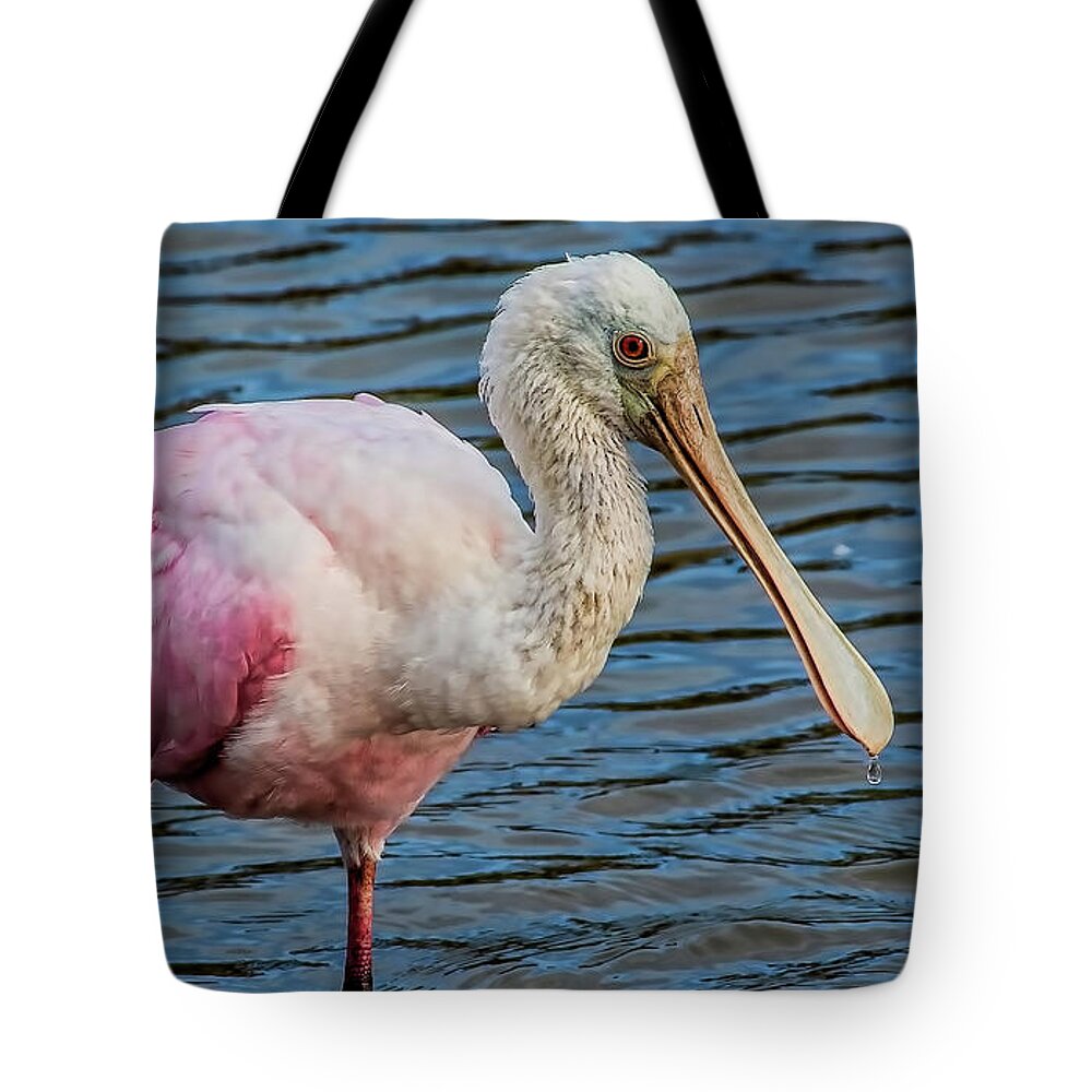Roseate Tote Bag featuring the photograph Roseate Spoonbill 1 by Richard Goldman