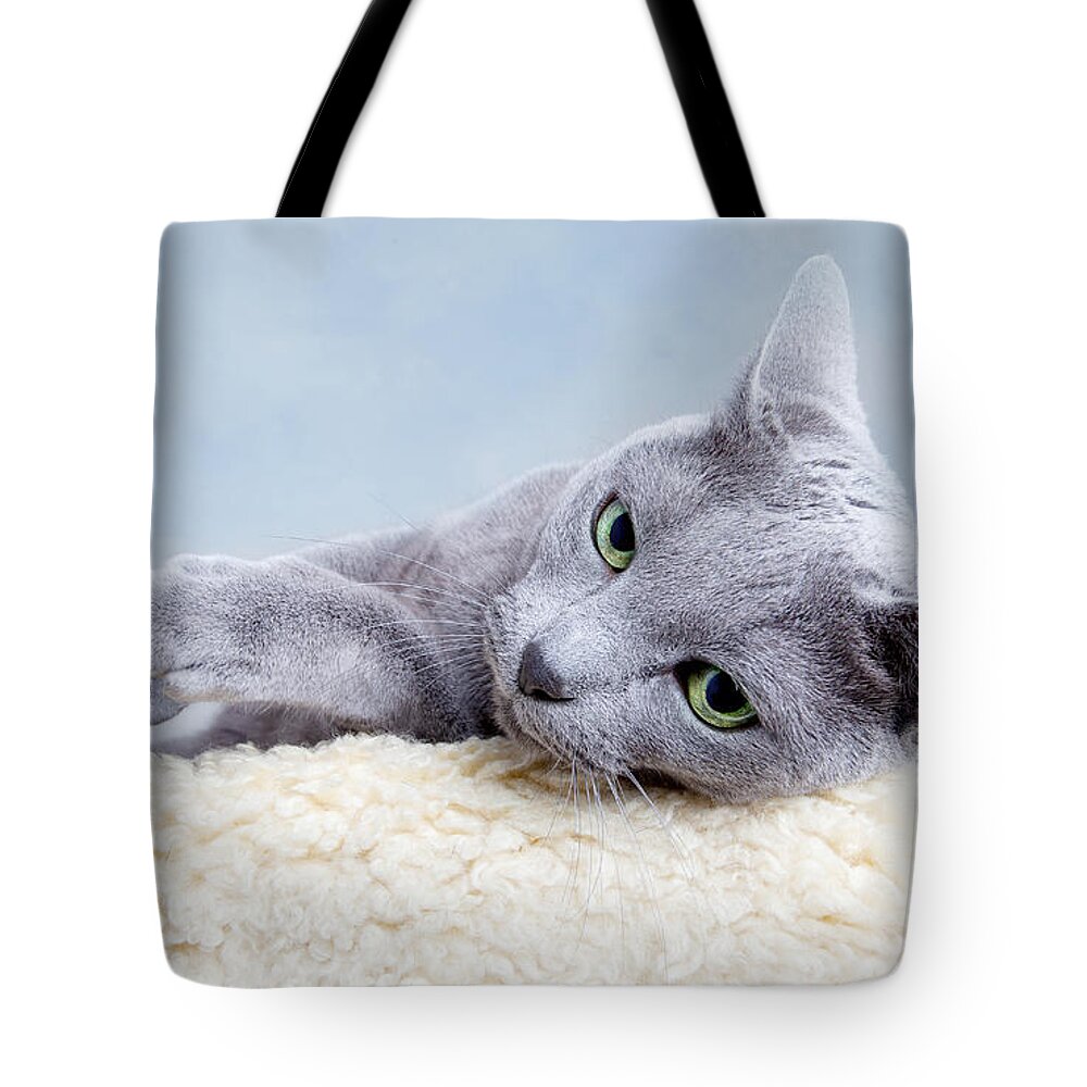 Russian Tote Bag featuring the photograph Russian Blue Cat by Nailia Schwarz