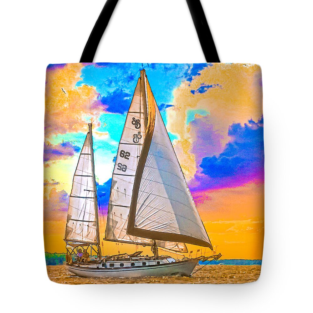 Sunset Tote Bag featuring the photograph Shannon 38 by Richard Goldman