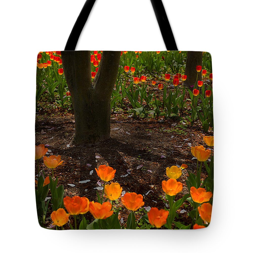  Tote Bag featuring the photograph Sherwood Garden Tulips - Baltimore #2 by Dana Sohr