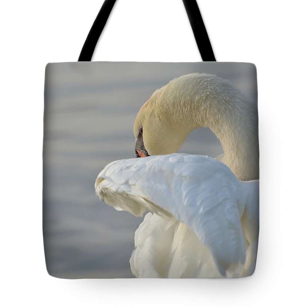 Mute Swan Tote Bag featuring the photograph Shy #2 by Fraida Gutovich