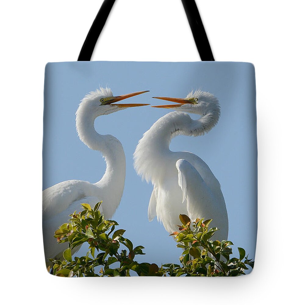 Great Egrets Tote Bag featuring the photograph Siblings #2 by Fraida Gutovich