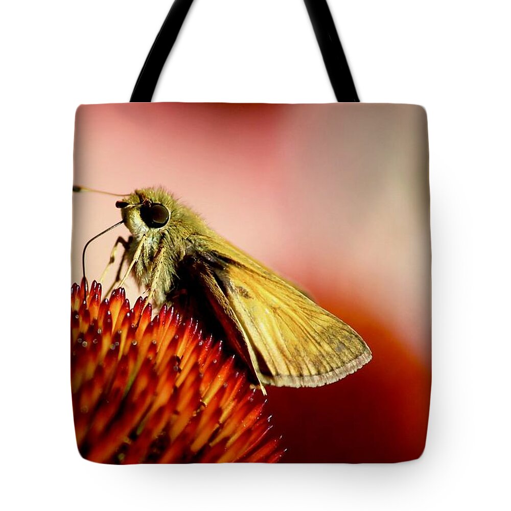 Butterfly Tote Bag featuring the photograph Skipper #2 by Sarah Lilja