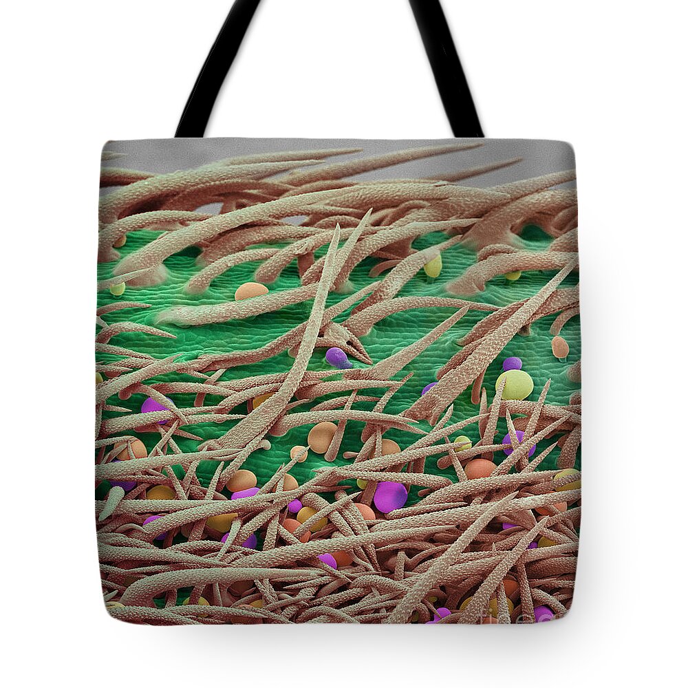Biological Tote Bag featuring the photograph Stem of Marijuana Plant, SEM #2 by Ted Kinsman