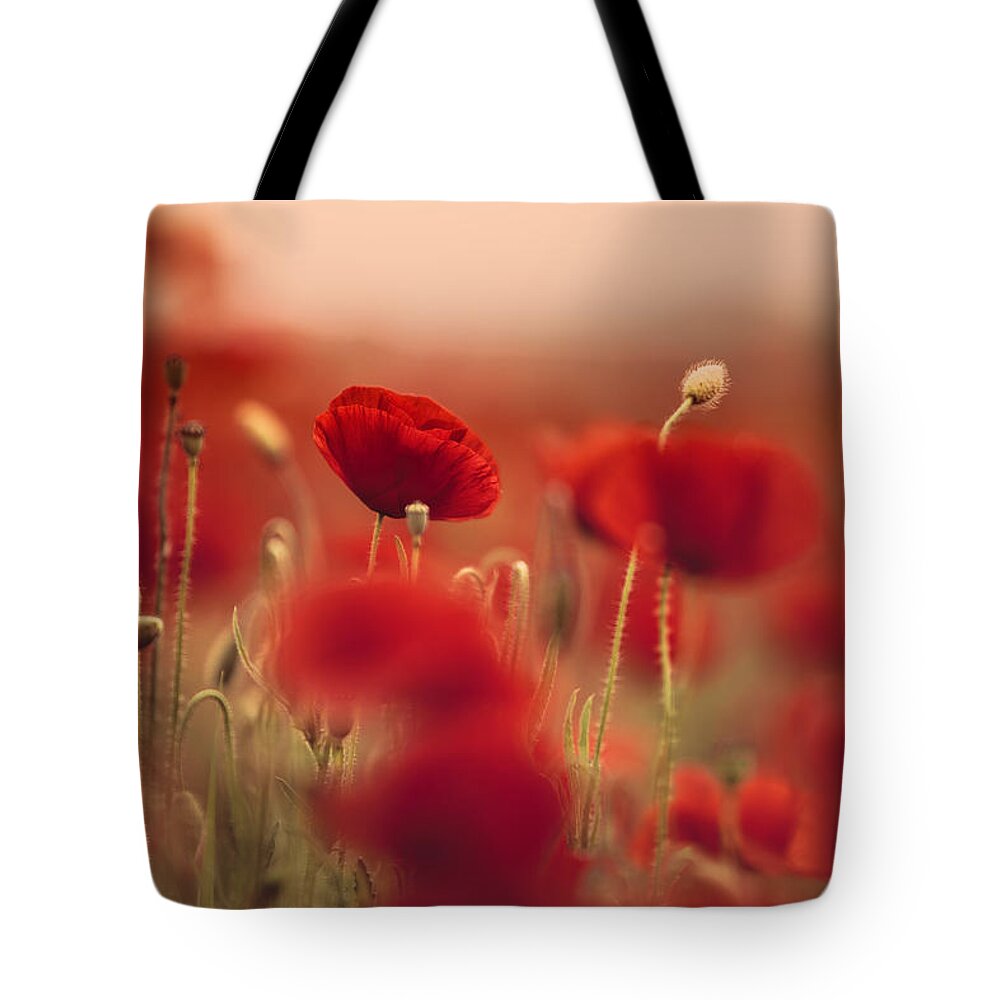 Poppy Tote Bag featuring the photograph Summer Poppy Meadow by Nailia Schwarz