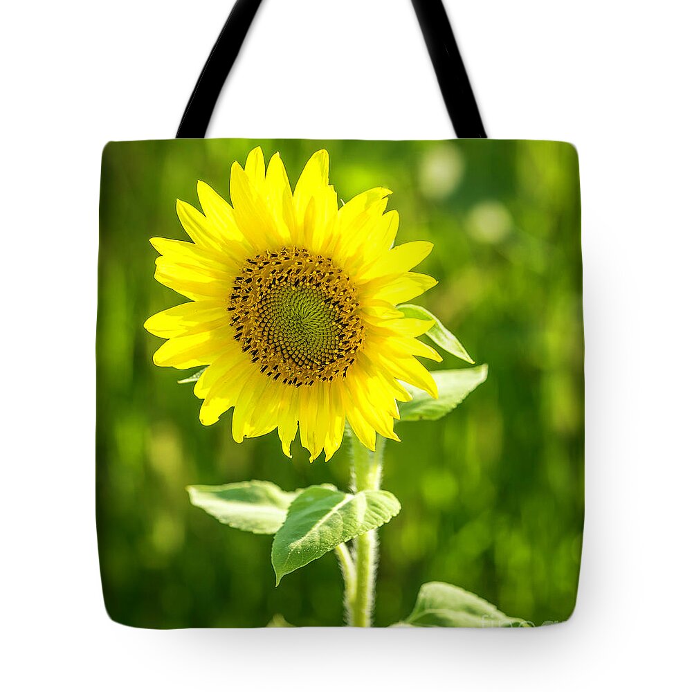 Sunflower Tote Bag featuring the photograph Sunflower #2 by Cathy Donohoue