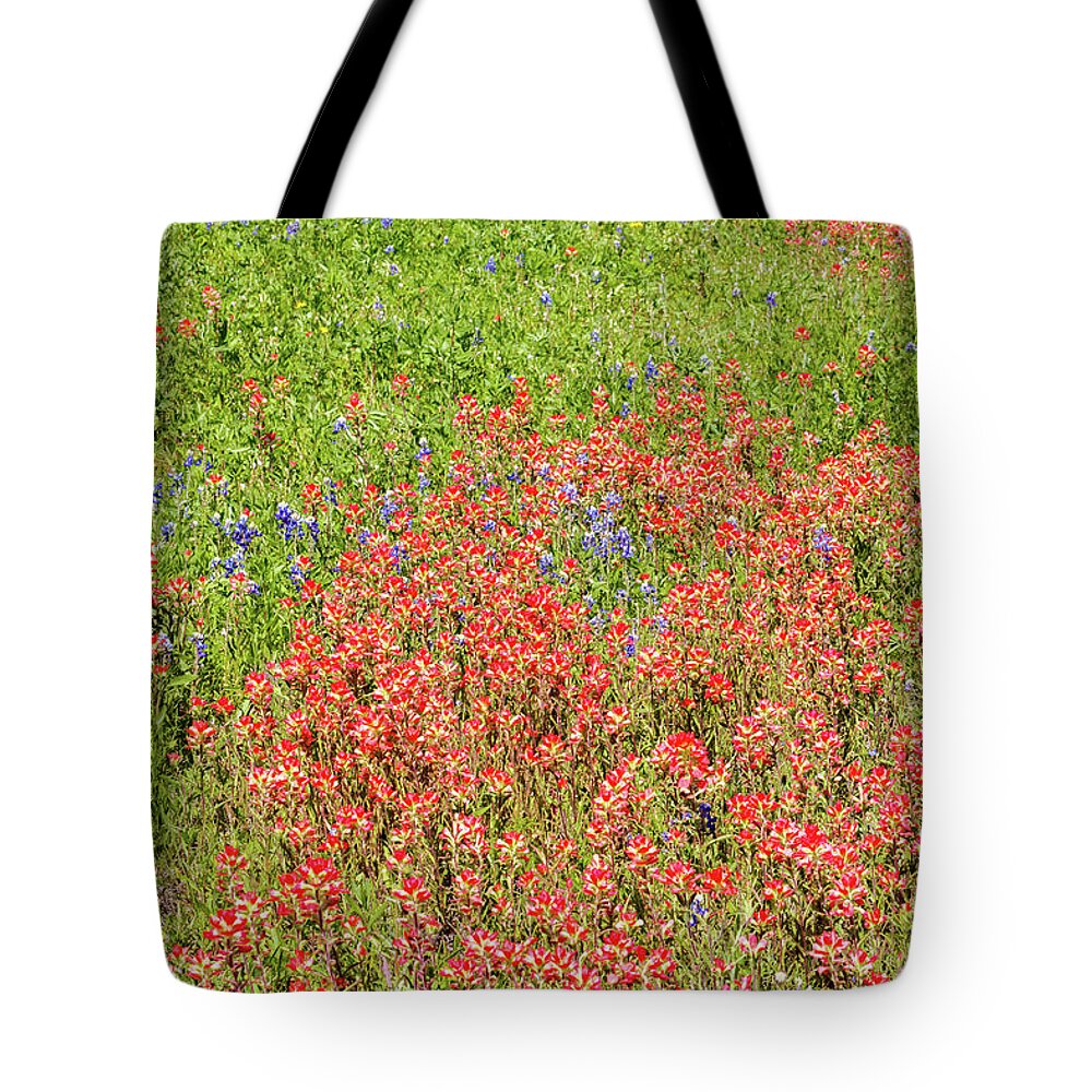 Austin Tote Bag featuring the photograph Texas Wildflowers #2 by Raul Rodriguez