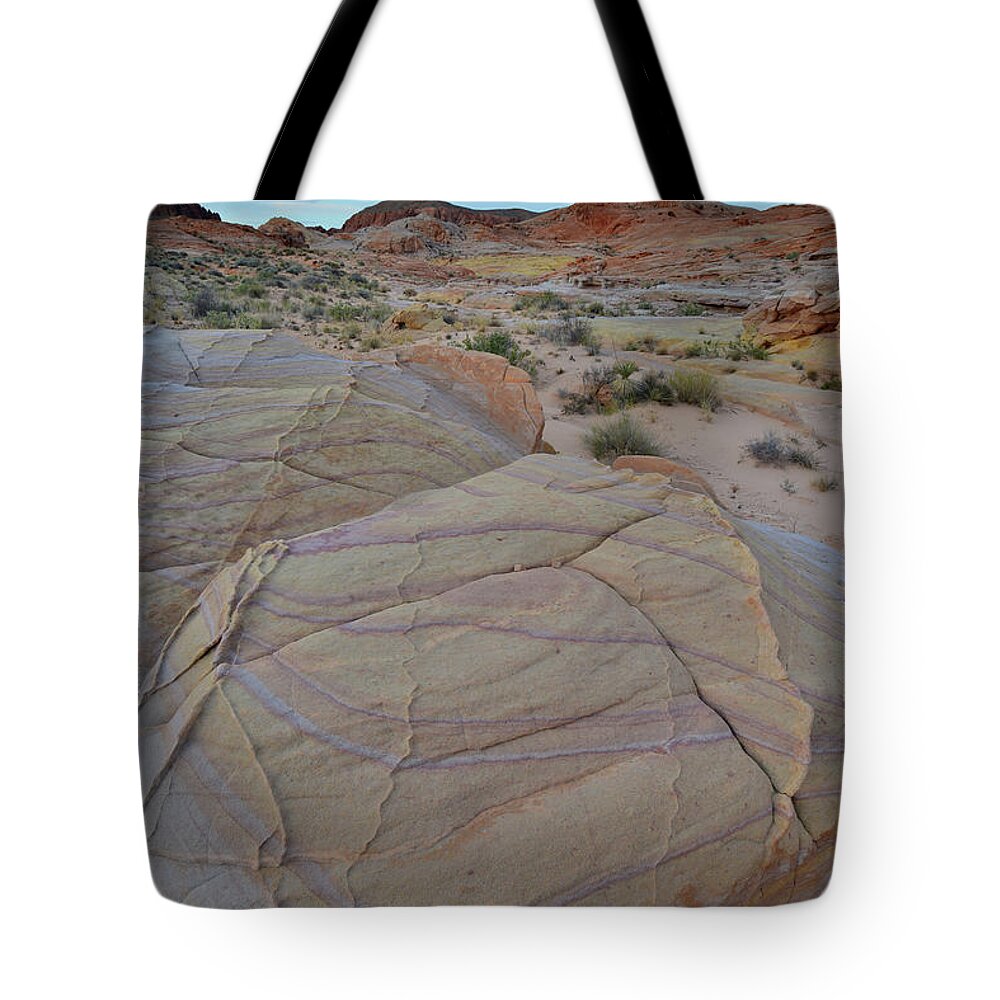 Valley Of Fire State Park Tote Bag featuring the photograph The Pastels of Valley of Fire #2 by Ray Mathis