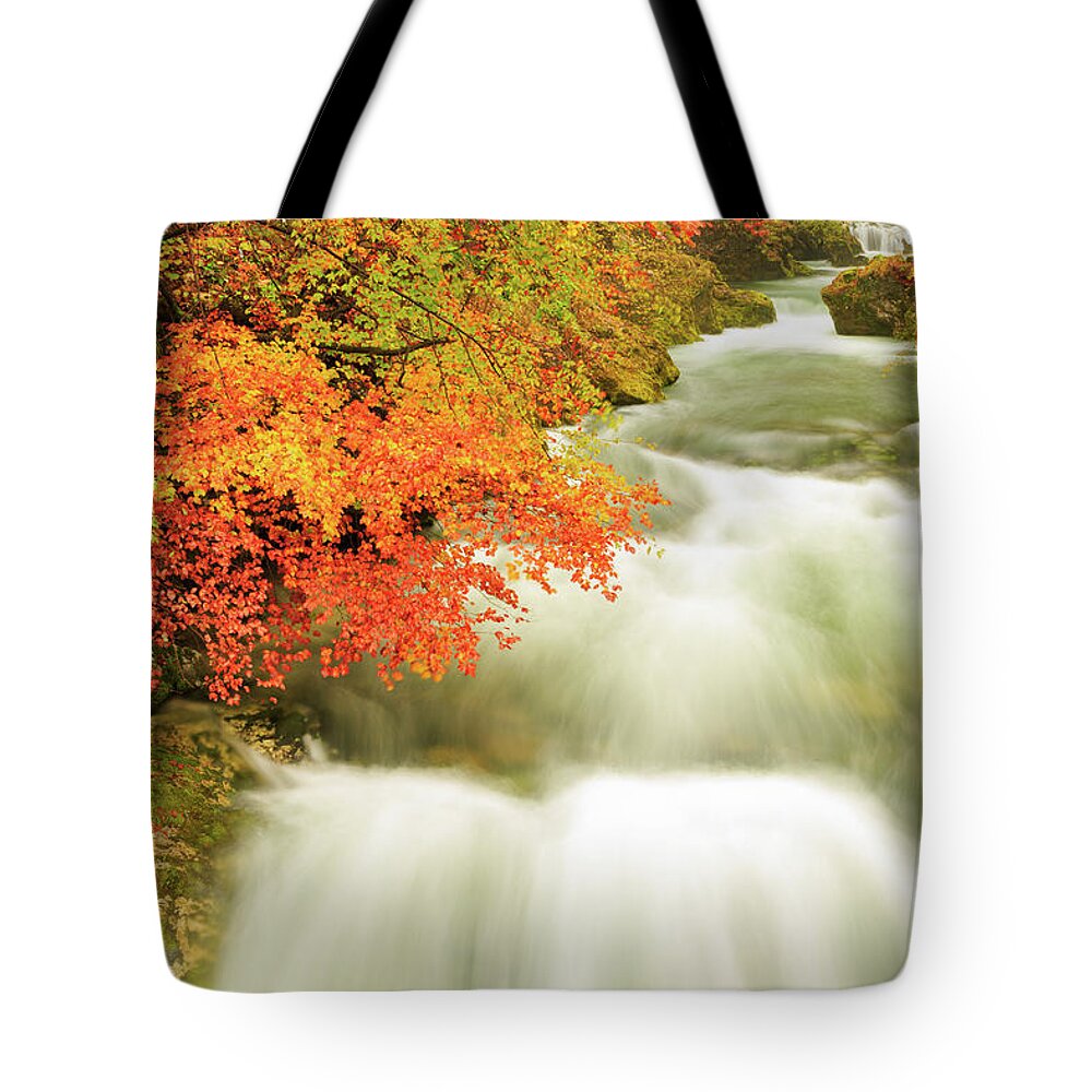 Soteska Tote Bag featuring the photograph The Soteska Vintgar gorge in Autumn by Ian Middleton