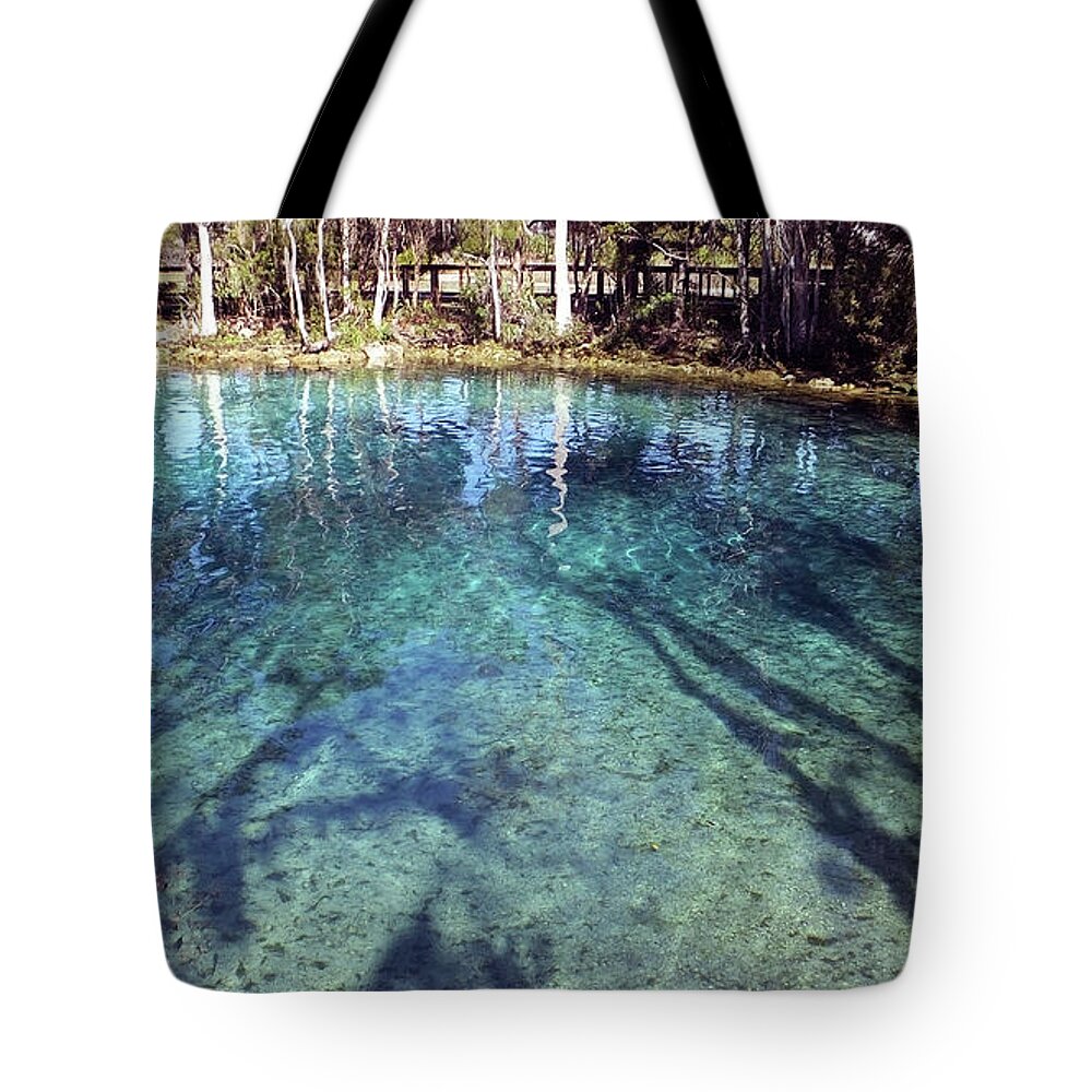 Three Sisters Springs Tote Bag featuring the photograph Long Afternoon Shadows in Three Sisters Springs by Judy Wanamaker