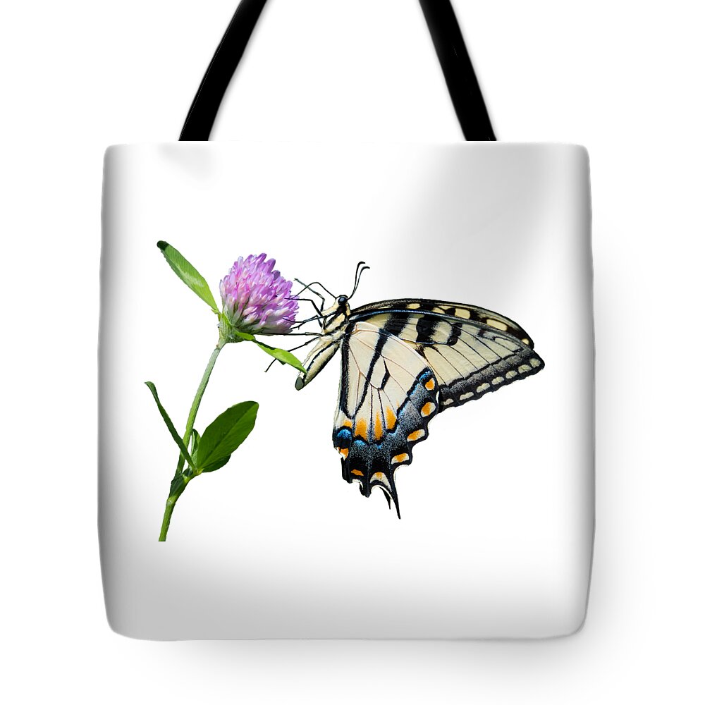 Tiger Swallowtail Butterfly Tote Bag featuring the photograph Tiger Swallowtail Butterfly by Holden The Moment