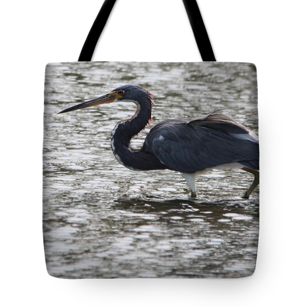 Tricolored Heron Tote Bag featuring the photograph Tricolored Heron by Captain Debbie Ritter