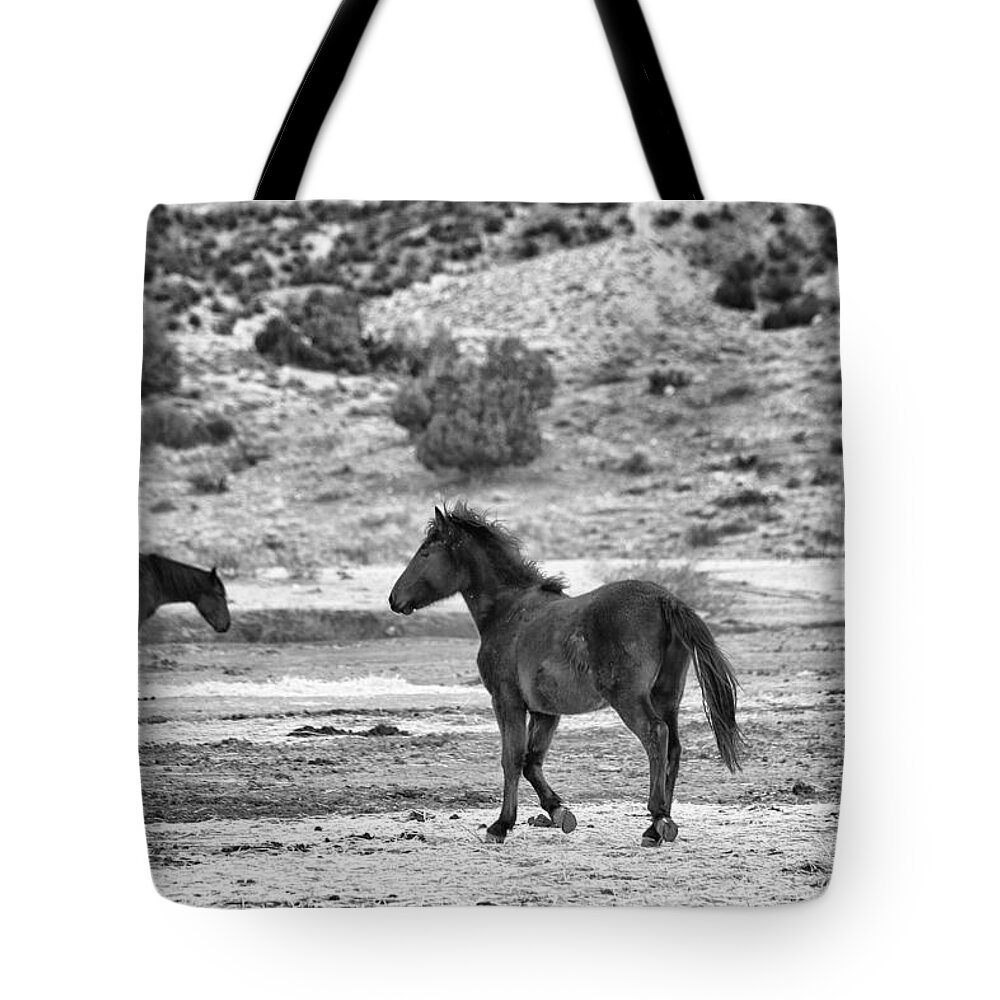 Virginia Range Mustangs Tote Bag featuring the photograph Virginia Range Mustangs #2 by Maria Jansson