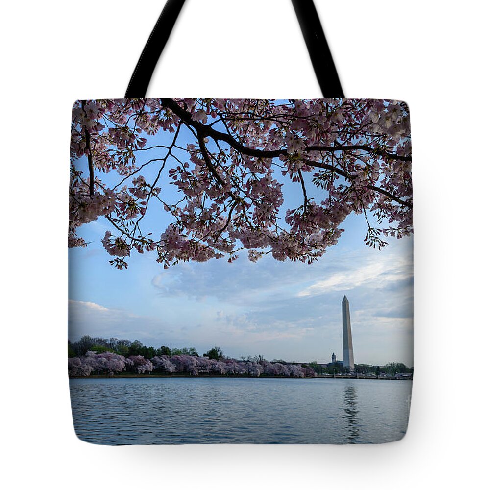 Washington Monument Tote Bag featuring the photograph Washington Monument Cherry Blossoms #2 by Thomas R Fletcher