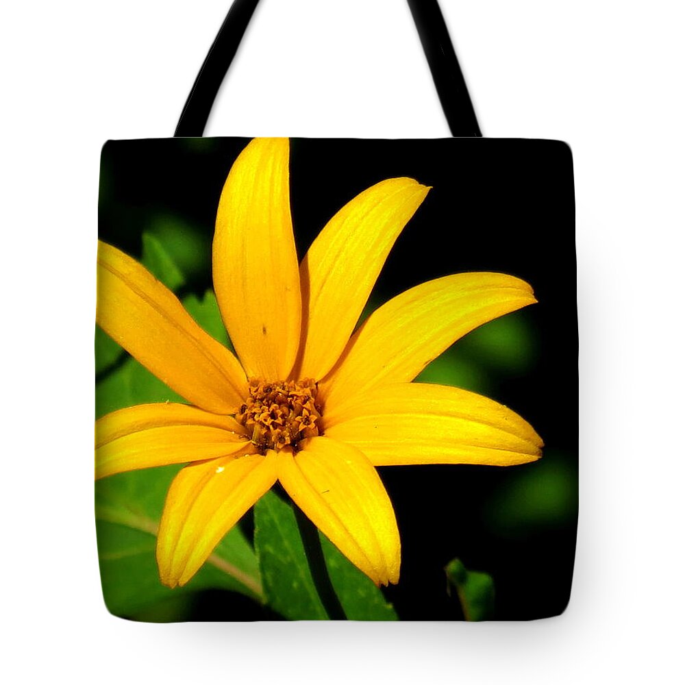 Wild Flower Tote Bag featuring the photograph Wild Flower #2 by Eric Switzer