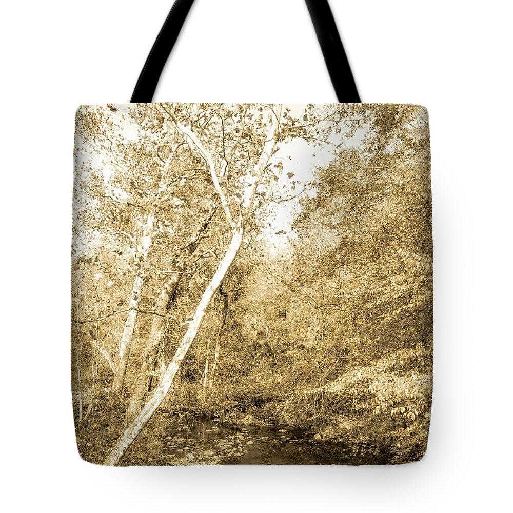 Stream Tote Bag featuring the photograph Woodland Stream in Fall, Montgomery County, Pennsylvania #2 by A Macarthur Gurmankin