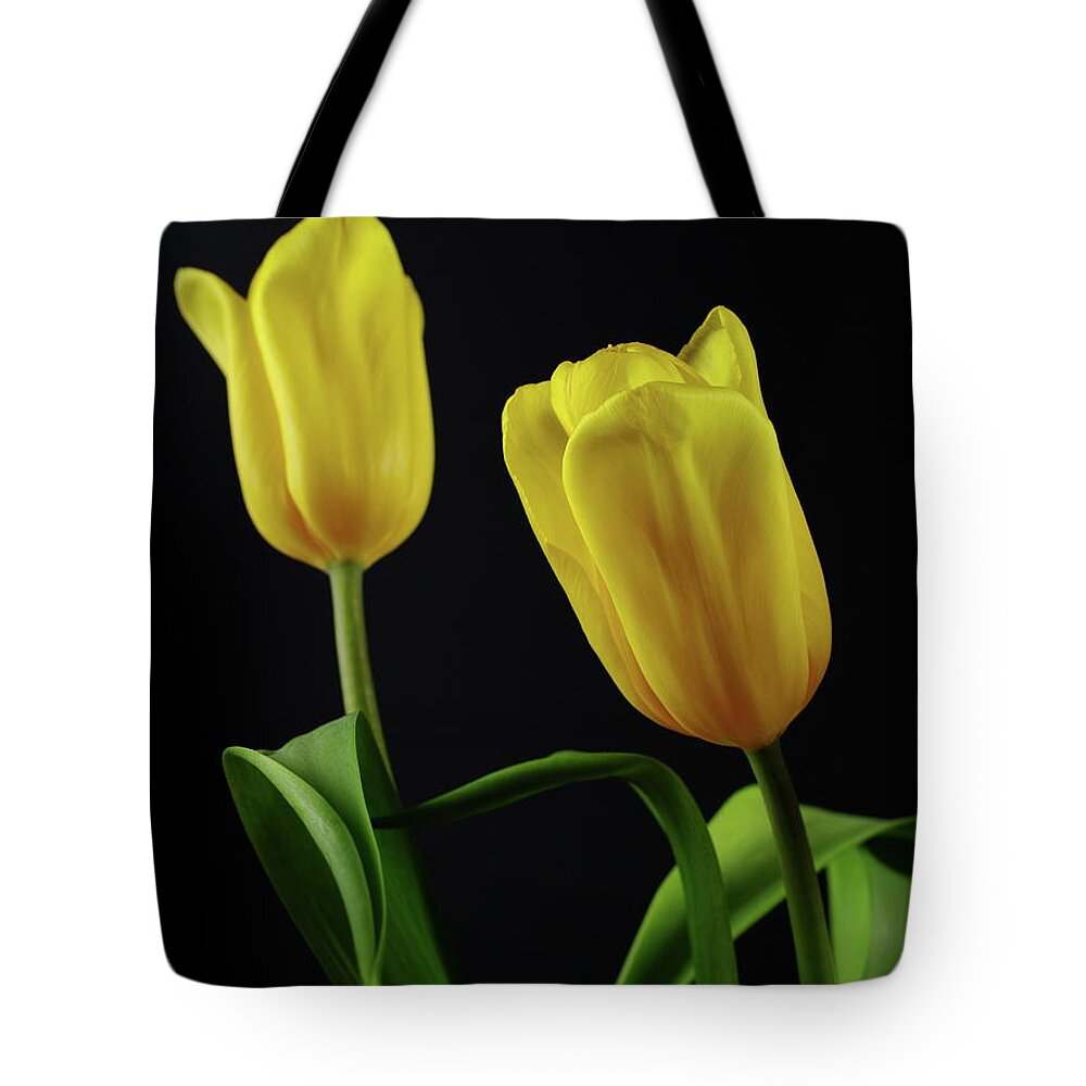 Tulip Tote Bag featuring the photograph Yellow Tulips by Dariusz Gudowicz