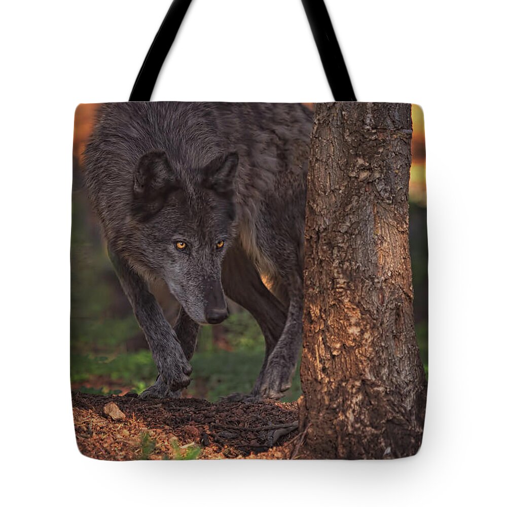 Animal Tote Bag featuring the photograph Zaltana #2 by Brian Cross