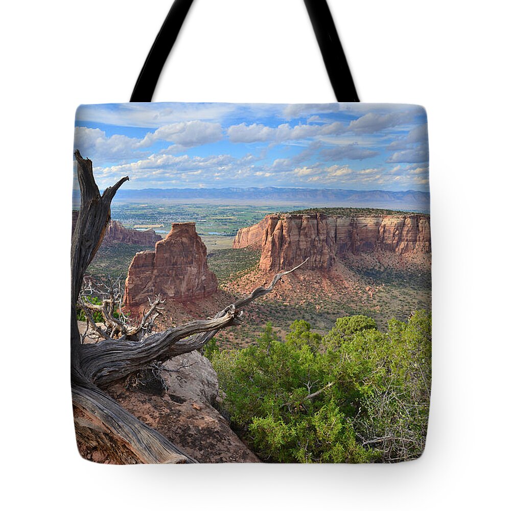 Colorado National Monument Tote Bag featuring the photograph Colorado National Monument #20 by Ray Mathis
