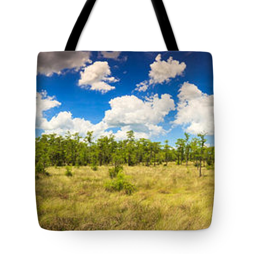 Everglades Tote Bag featuring the photograph Florida Everglades #20 by Raul Rodriguez