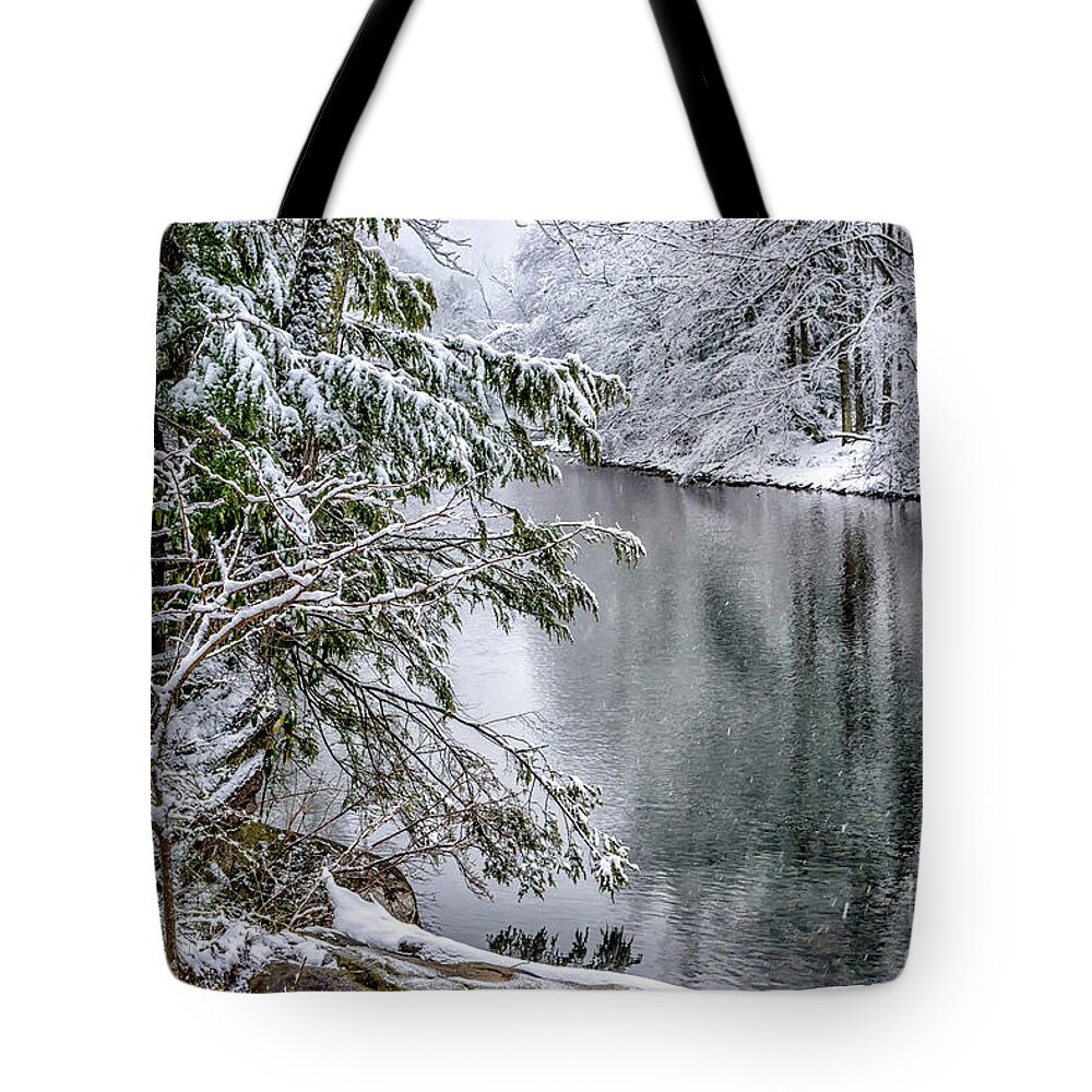 Cranberry River Tote Bag featuring the photograph Winter along Cranberry River #20 by Thomas R Fletcher