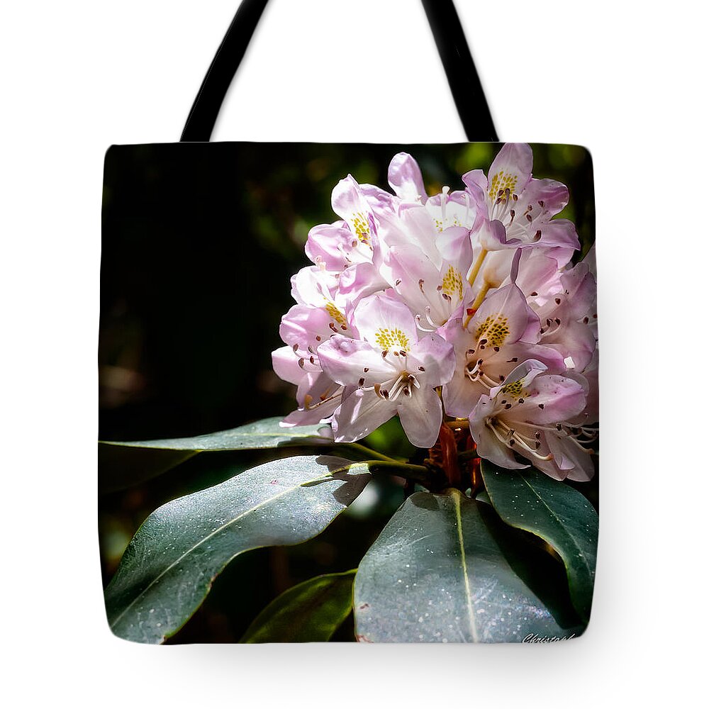 Christopher Holmes Photography Tote Bag featuring the photograph 20120621-dsc05834 by Christopher Holmes
