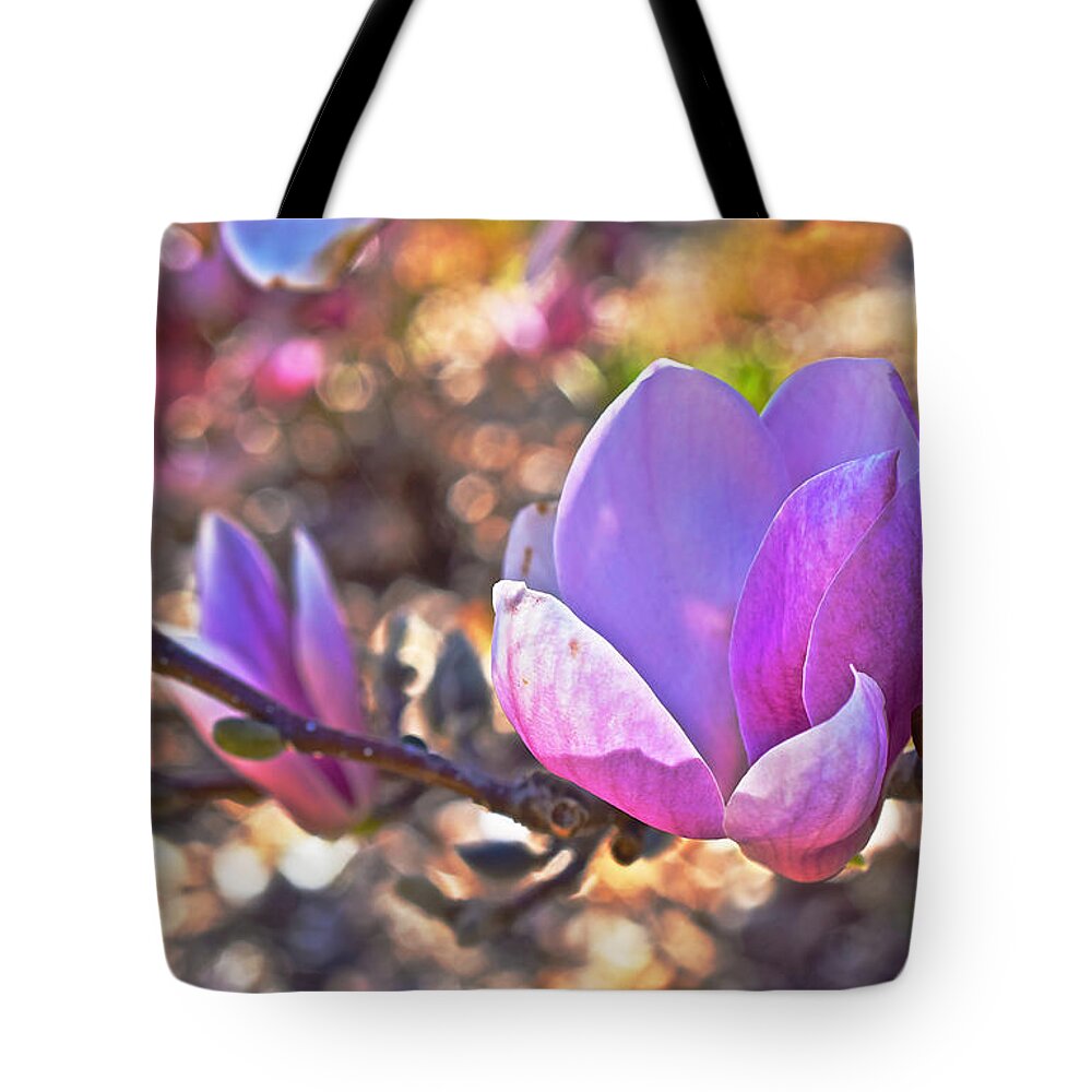 Magnolias Tote Bag featuring the photograph 2015 Early Spring Magnolia by Janis Senungetuk