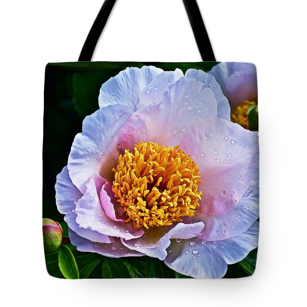 Peony Tote Bag featuring the photograph 2015 Spring at the Garden White Peony by Janis Senungetuk