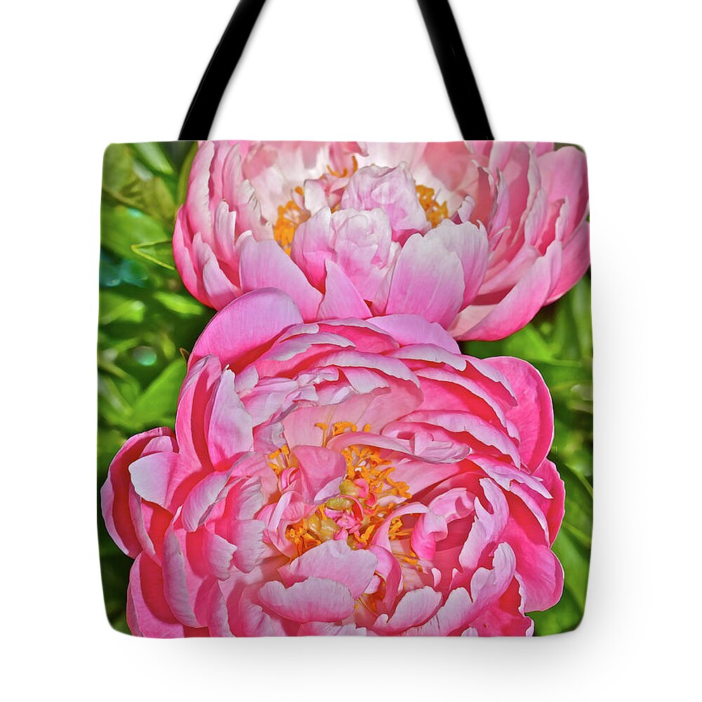 Peonies Tote Bag featuring the photograph 2016 Early June Coral Supreme Peonies by Janis Senungetuk