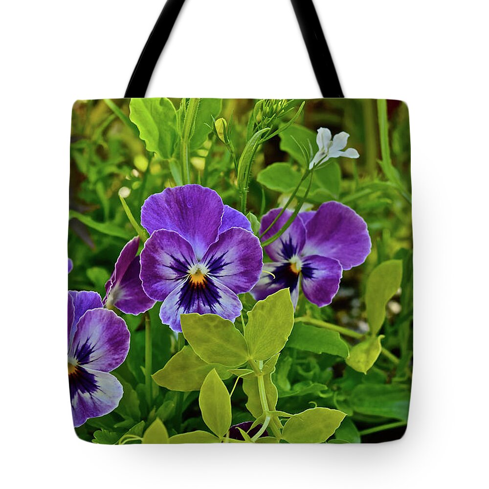 Pansies Tote Bag featuring the photograph 2016 Early May Pansies 1 by Janis Senungetuk